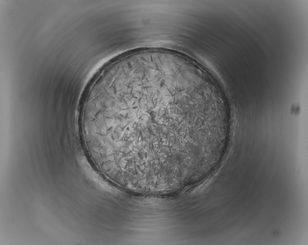 X0000112750932200909101536