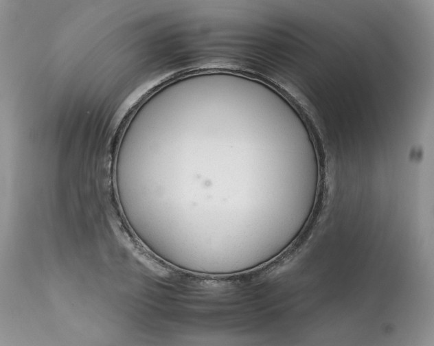 X0000112750933200909101536