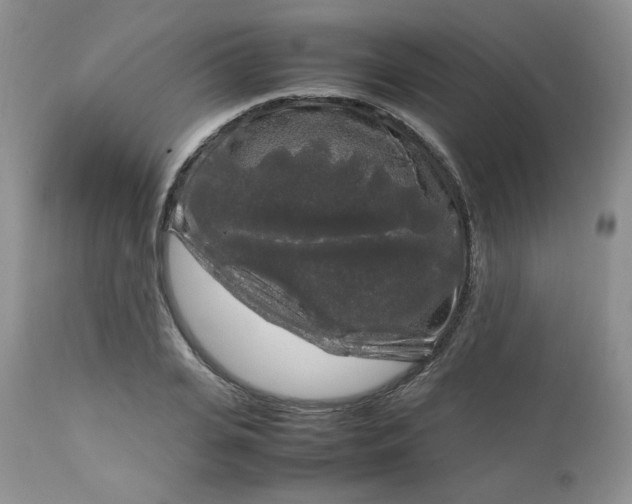 X0000112750935200909101536