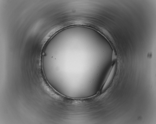 X0000112750938200909101536