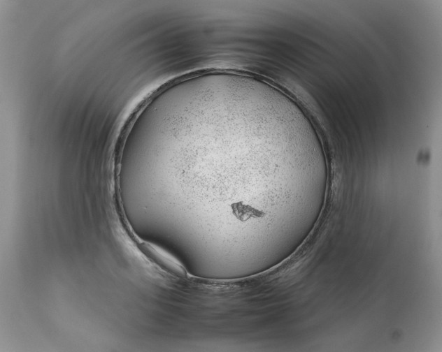 X0000112750939200909101536