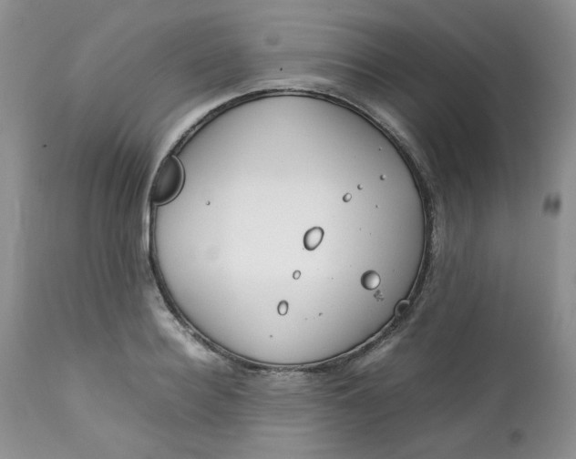 X0000112750940200909101536