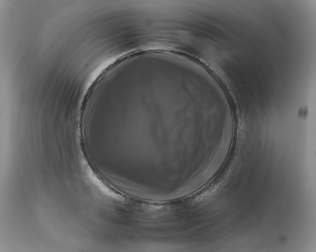 X0000112750941200909101536