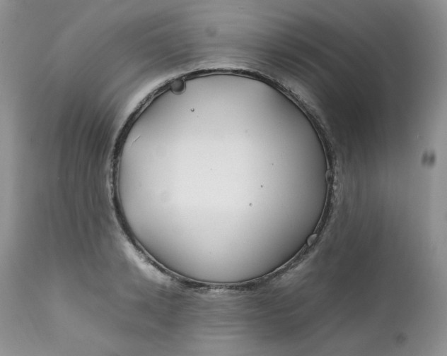 X0000112750942200909101536