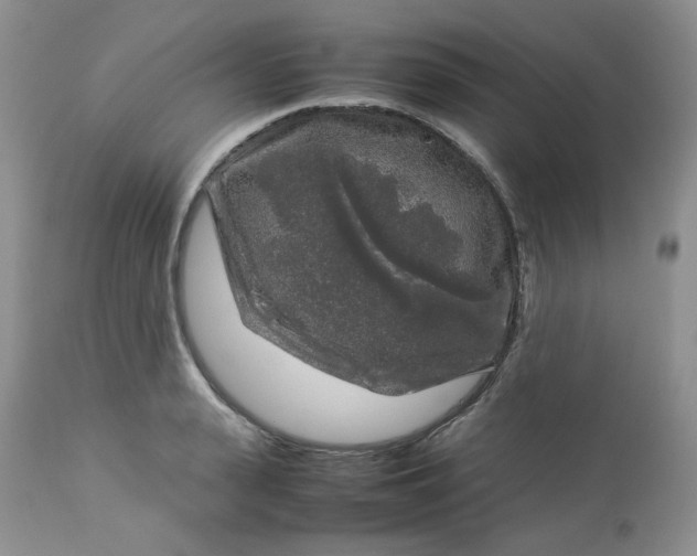 X0000112750943200909101537