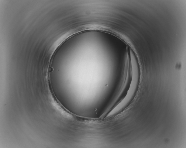 X0000112750946200909101537