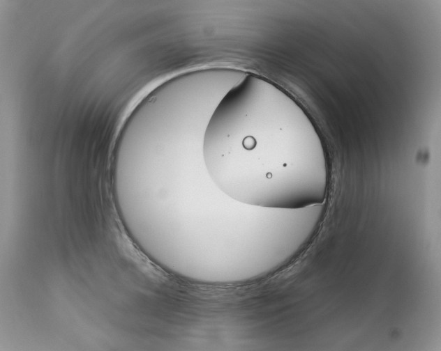 X0000112750948200909101537