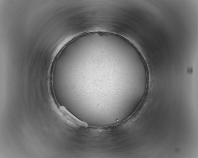 X0000112750949200909101537