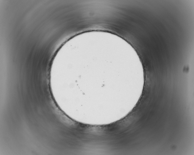 X0000112750950200909101537