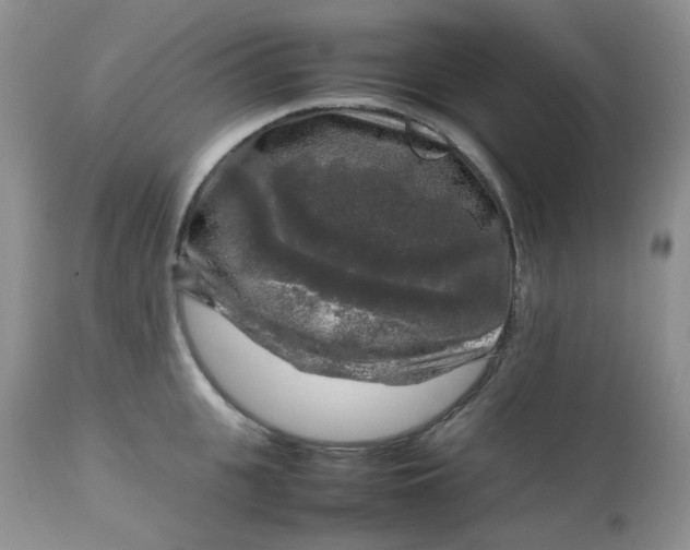 X0000112750951200909101537