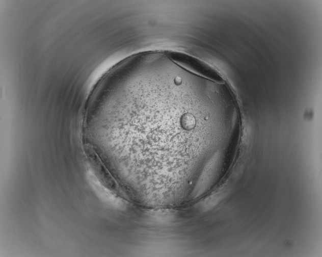 X0000112750952200909101537