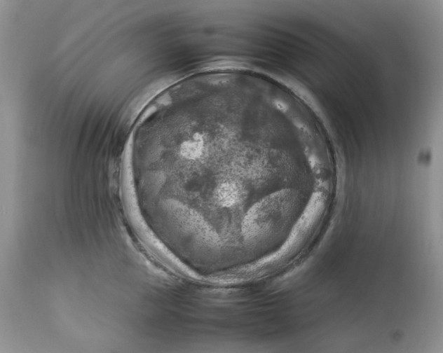 X0000112750953200909101537