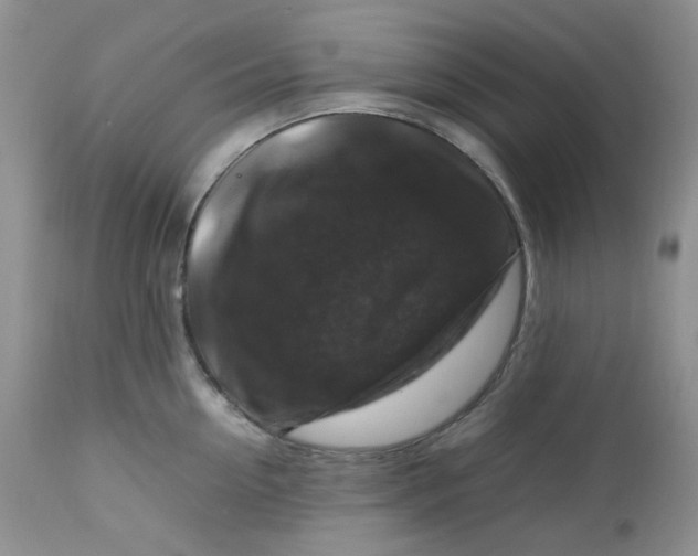 X0000112750954200909101537