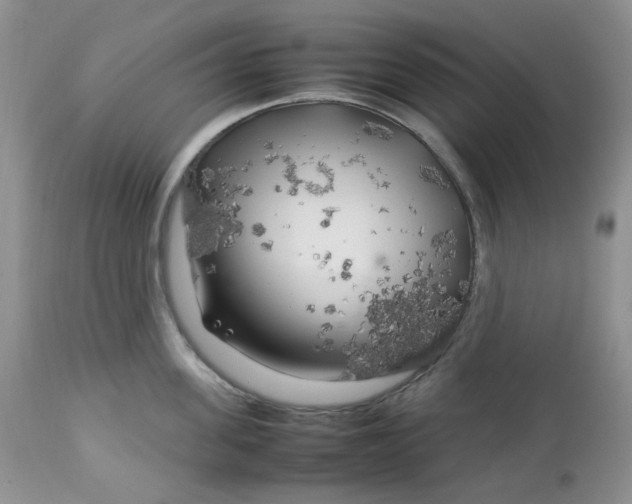 X0000112750955200909101537