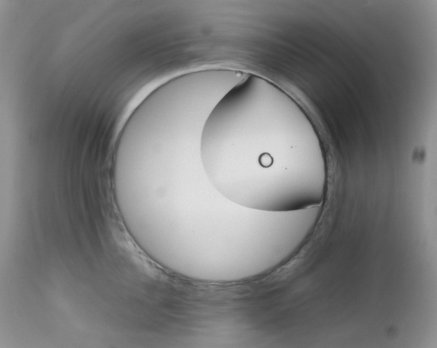 X0000112750956200909101537