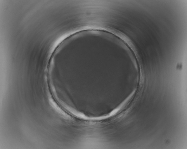 X0000112750958200909101537