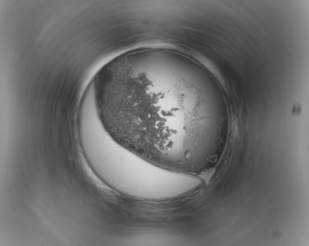 X0000112750959200909101537