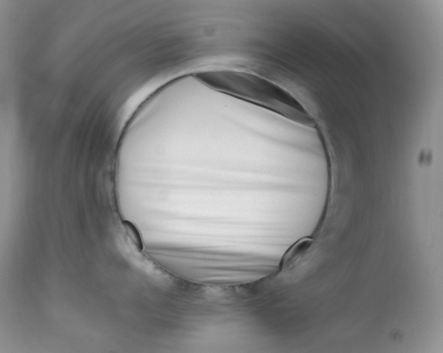 X0000112750960200909101537