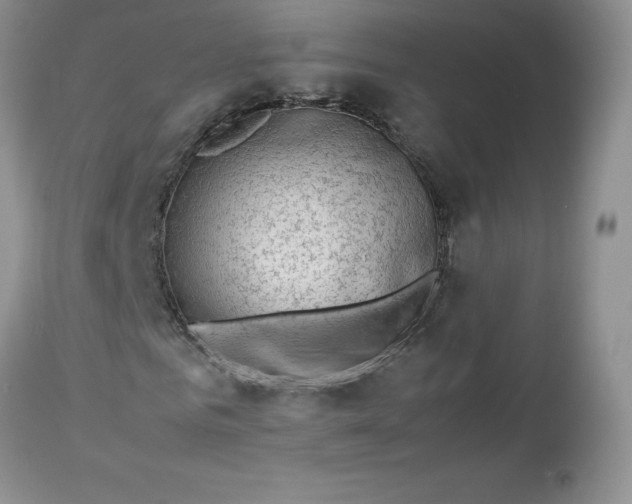 X0000112750961200909101536