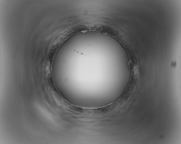 X0000112750963200909101536