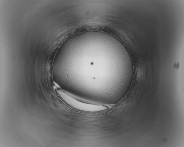 X0000112750964200909101536