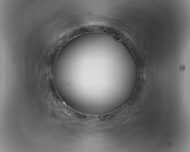 X0000112750965200909101536