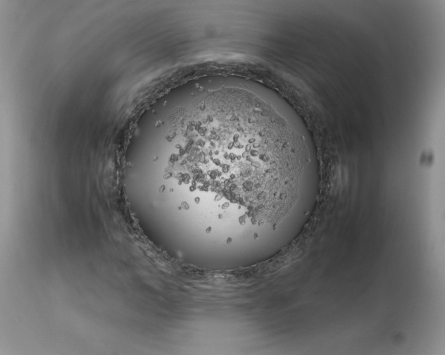 X0000112750966200909101536