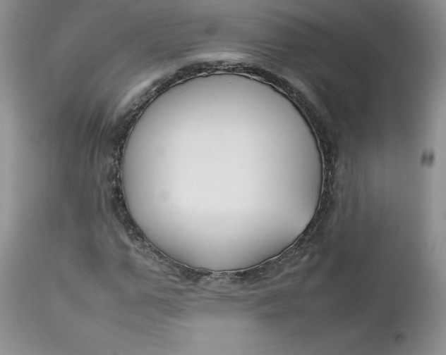 X0000112750967200909101536