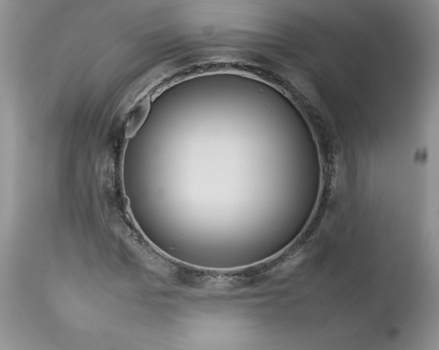 X0000112750969200909101536