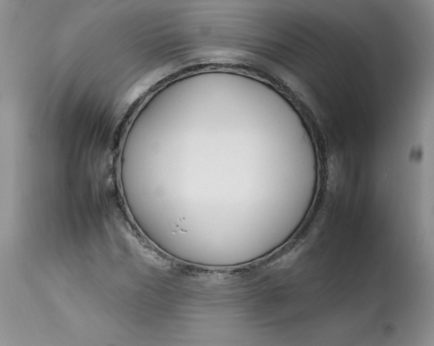 X0000112750970200909101536