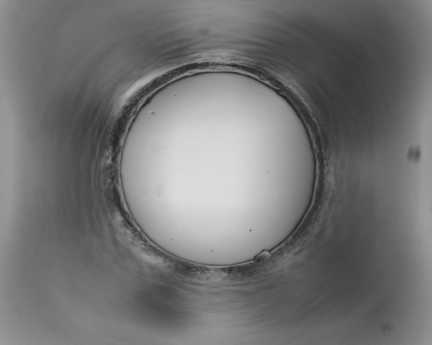 X0000112750971200909101536