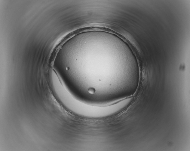 X0000112750972200909101536