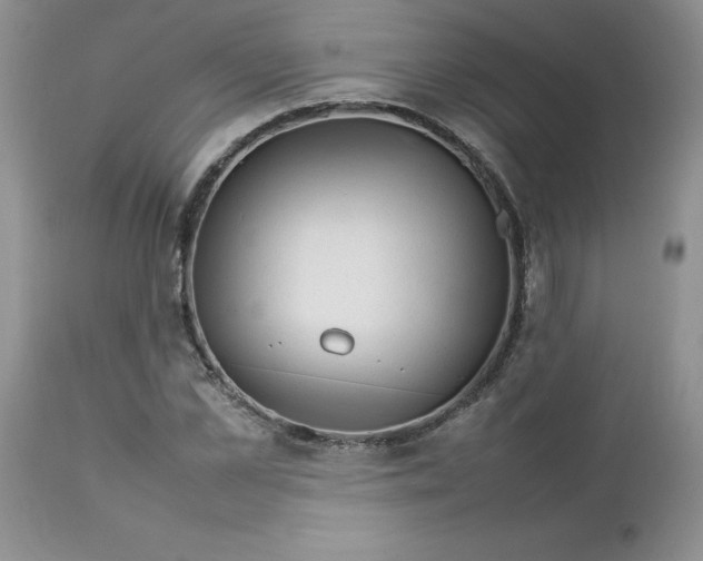 X0000112750973200909101536