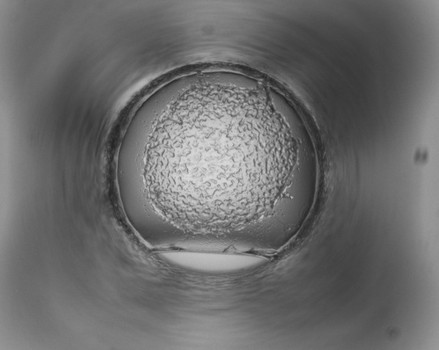 X0000112750975200909101536