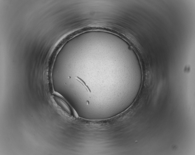 X0000112750976200909101536