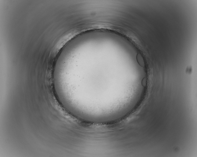 X0000112750977200909101536