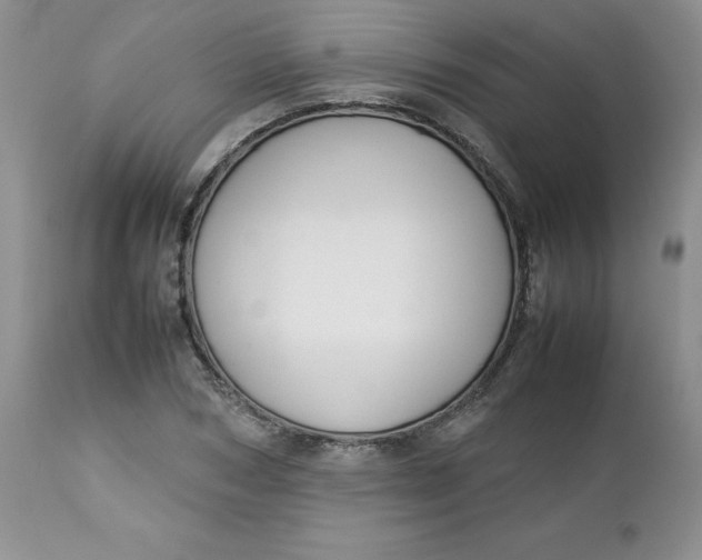 X0000112750978200909101536