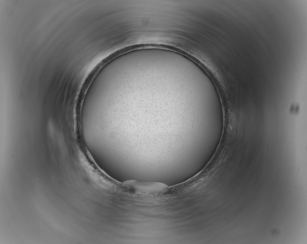 X0000112750980200909101536