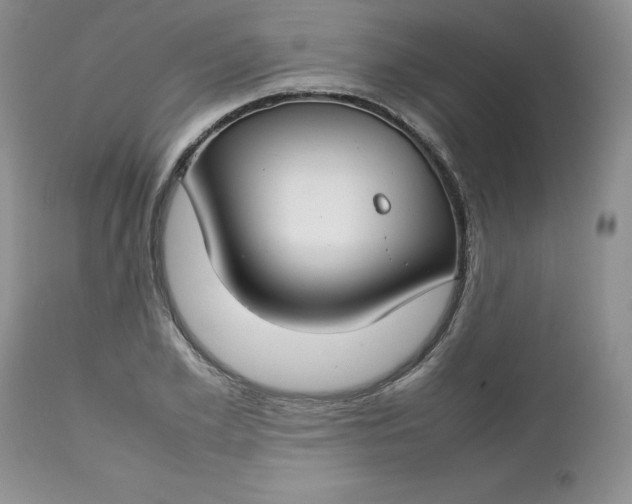 X0000112750981200909101536