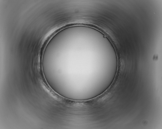 X0000112750982200909101536