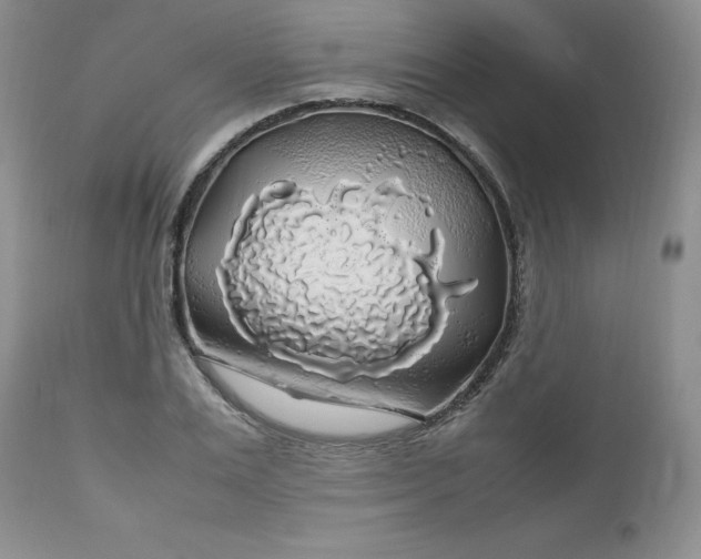 X0000112750983200909101536