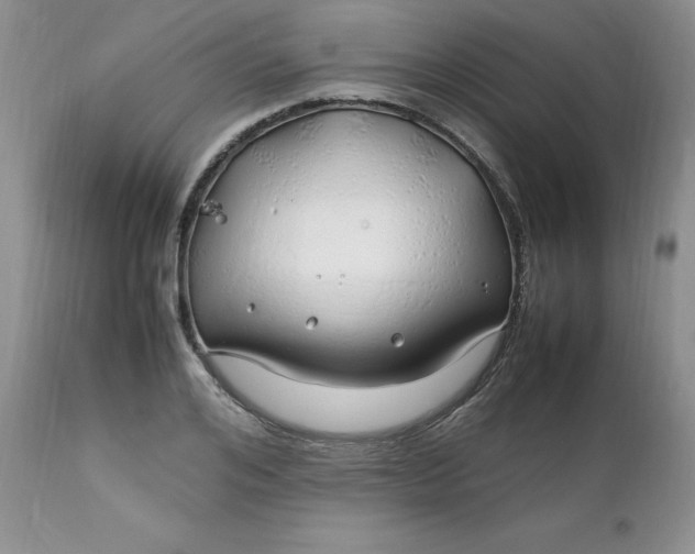 X0000112750984200909101536