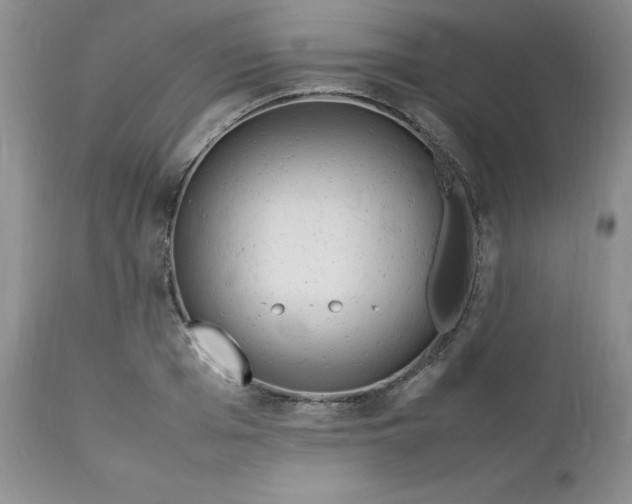 X0000112750985200909101536