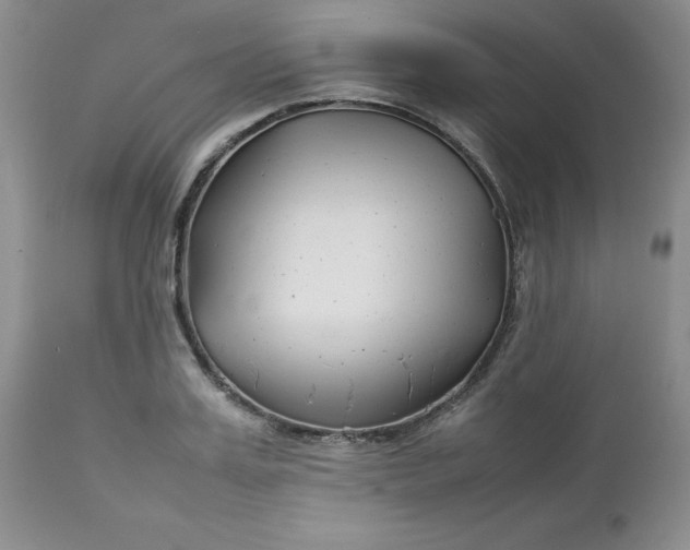 X0000112750987200909101536