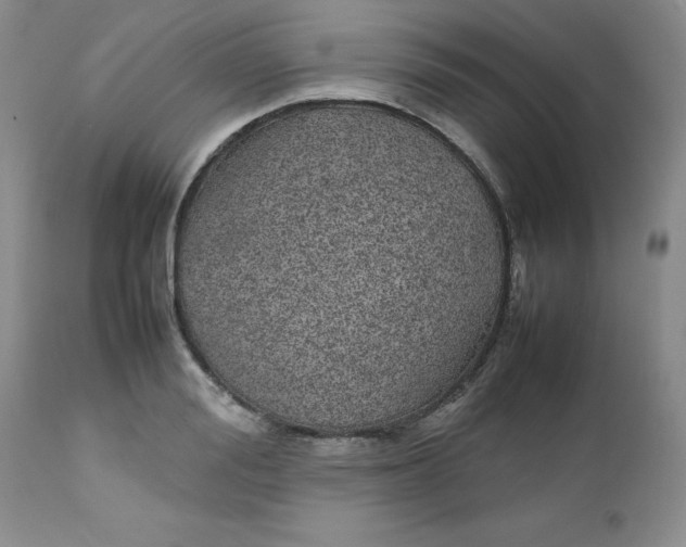 X0000112750988200909101536