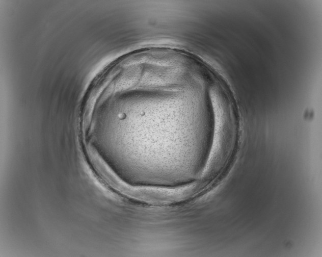 X0000112750989200909101536