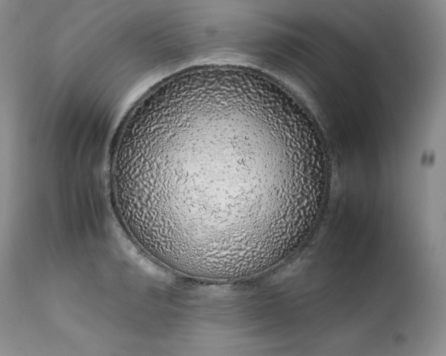 X0000112750990200909101536