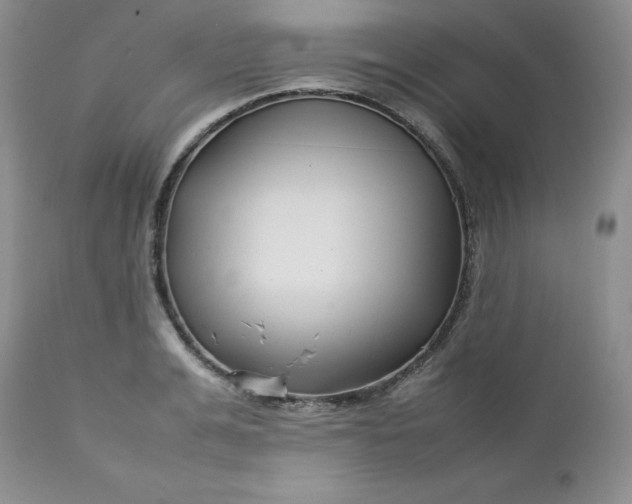 X0000112750991200909101535