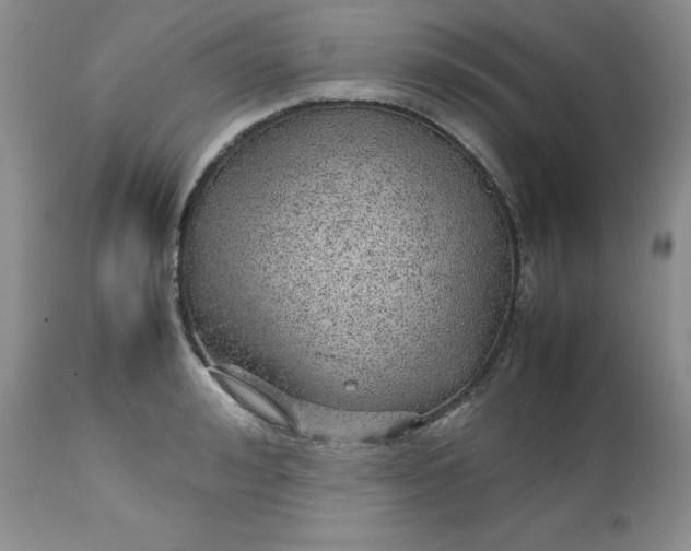 X0000112750992200909101535