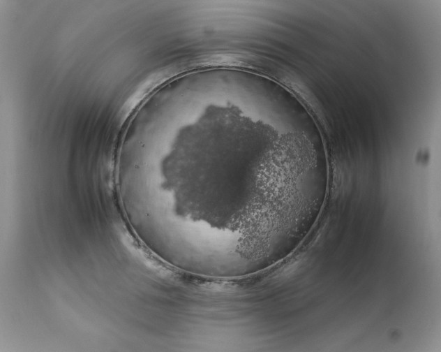 X0000112750994200909101535